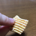 フリトレー リッチギザ たらこバター味 商品写真 3枚目
