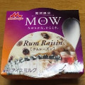 森永 MOW ラムレーズン 商品写真 2枚目