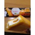 メイトー ホームランバースペシャリテ 太陽のチーズケーキ 商品写真 4枚目