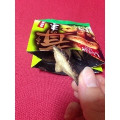 UHA味覚糖 茸のまんま わさび味 商品写真 5枚目