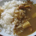 セブンプレミアム インド風チキンカレー 商品写真 3枚目