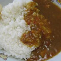 グリコ カレー職人 インド風カレー 辛口 商品写真 3枚目