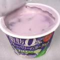 日本ルナ 脂肪0％ ブルーベリーのヨーグルト 商品写真 4枚目