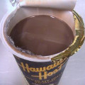 ハワイアンホースト・ジャパン チョコレートドリンク マカデミア 商品写真 1枚目