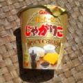 カルビー じゃがりこ SPICY CHEESE 商品写真 1枚目