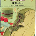 ハーゲンダッツ クリスピーサンド 抹茶ベリー 商品写真 1枚目