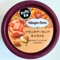 ハーゲンダッツ クランチアーモンドキャラメル 商品写真 1枚目