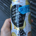 サッポロ Innovative Brewer SKY PILS 商品写真 2枚目