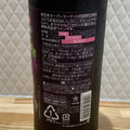 サッポロ 酸化防止剤 無添加 赤ワイン 商品写真 1枚目
