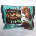 不二家 チョコを愉しむカントリーマアム ほんのりミント 商品写真 1枚目