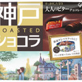 江崎グリコ 神戸ローストショコラ 大人のビターチョコレート 商品写真 1枚目
