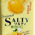 東ハト ソルティ 瀬戸内レモン 商品写真 1枚目
