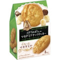 森永製菓 ステラおばさんのマカダミアナッツクッキー 商品写真 3枚目