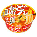 日清食品 キムチチゲうどん 商品写真 2枚目