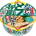 日清食品 日清の冷しどん兵衛 ぶっかけきつねうどん 商品写真 2枚目