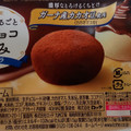 ロッテ 生チョコ包み バニラ 商品写真 1枚目