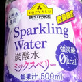 トップバリュ ベストプライス SparklingWater 炭酸水ミックスベリー 商品写真 1枚目