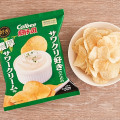 カルビー ポテトチップス サワクリ好きのための濃厚サワークリーム味 商品写真 1枚目