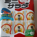 三幸製菓 ミニサラダ えびしお味 商品写真 1枚目