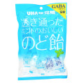 UHA味覚糖 透き通ったミントのおいしいのど飴 冷涼体感 GABA 商品写真 4枚目