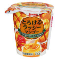 日本ルナ とろけるラッシー マンゴー 商品写真 2枚目