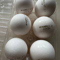 北海道産鶏卵 雛の巣 商品写真 1枚目