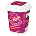 国分 GREEK PROTEIN YOGURT 商品写真 1枚目