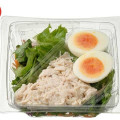 セブン-イレブン たんぱく質が摂れる鶏むね肉サラダ 商品写真 1枚目