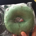 BAGEL＆BAGEL チョコミント 商品写真 1枚目