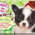 正栄デリシィ おしゃべりわんこ 商品写真 3枚目