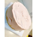 小向製菓 cakes 苺レアチーズ 商品写真 3枚目