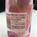 ジェイフード Beauty BERRY MIX ブルーベリー×クランベリー風味 商品写真 1枚目