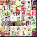 かぶ（漬物）