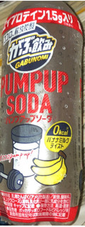「ポッカサッポロ がぶ飲み PUMP UP SODA ペット500ml」のクチコミ画像 by Anchu.さん