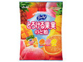 アサヒフード＆ヘルスケア バヤリース とろける果実のど飴 袋120g