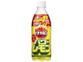  ペット500ml