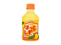  ペット280ml