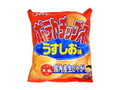 ポテトチップス うすしお味 袋65g