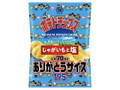 ポテトチップス じゃがいもと塩 袋195g 創業70周年ありがとうサイズ