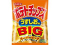 スーパービッグサイズ ポテトチップス うすしお味 袋310g