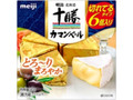 北海道十勝 カマンベールチーズ 切れてるタイプ 箱15g×6
