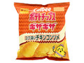 ポテトチップス ギザギザ コク深いチキンコンソメ 袋60g