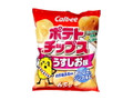 ポテトチップス うすしお味 袋65g