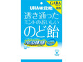 透き通ったミントのおいしいのど飴 冷涼体感 GABA 袋88g