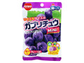 ガブリチュウミニ グレープ味 袋28g