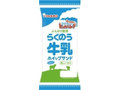  袋1個