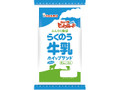  袋1個