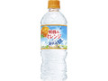  ペット540ml