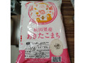 秋田県産 あきたこまち 5kg