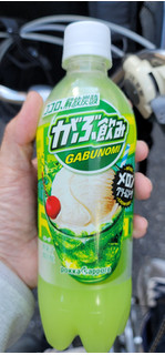 「ポッカサッポロ がぶ飲み メロンクリームソーダ ペット500ml」のクチコミ画像 by タケダさん